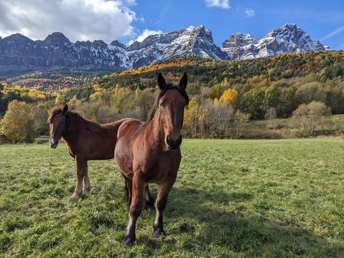 Nornore: Una Casa Especial En La Montana Piedrafita de Jaca Exterior foto